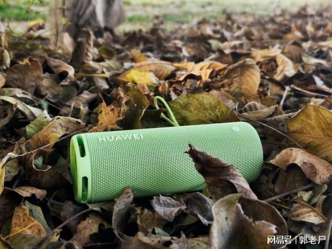 WEI Sound Joy 2去拥抱自然爱游戏爱体育双11户外音箱推荐带HUA(图3)