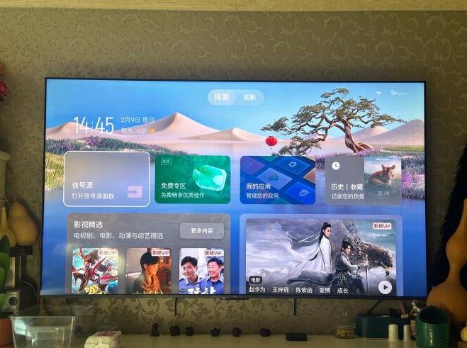 视：800背光分区+超高画质售价降至新低！爱游戏app登录2025值得选择的液晶电(图3)