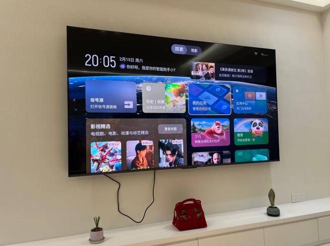 视：800背光分区+超高画质售价降至新低！爱游戏app登录2025值得选择的液晶电(图6)