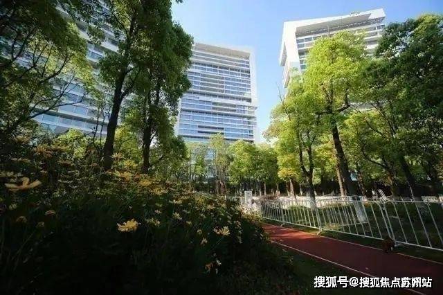 鹰·黑森林售楼处发布：引爆购房热潮爱游戏app网站九月豪宅聚焦@中(图2)