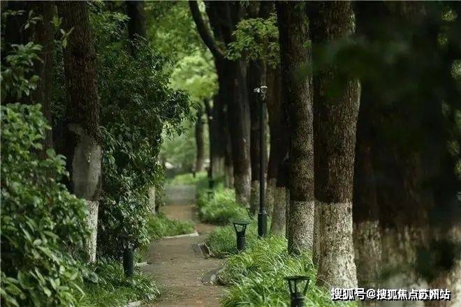 鹰·黑森林售楼处发布：引爆购房热潮爱游戏app网站九月豪宅聚焦@中(图16)