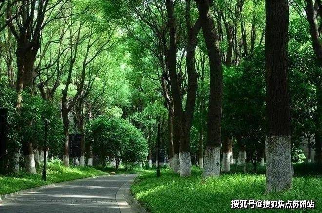 鹰·黑森林售楼处发布：引爆购房热潮爱游戏app网站九月豪宅聚焦@中(图15)