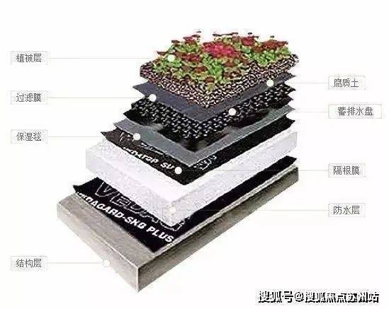 鹰·黑森林售楼处发布：引爆购房热潮爱游戏app网站九月豪宅聚焦@中(图21)