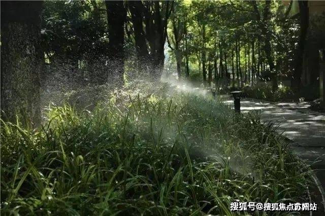 鹰·黑森林售楼处发布：引爆购房热潮爱游戏app网站九月豪宅聚焦@中(图24)